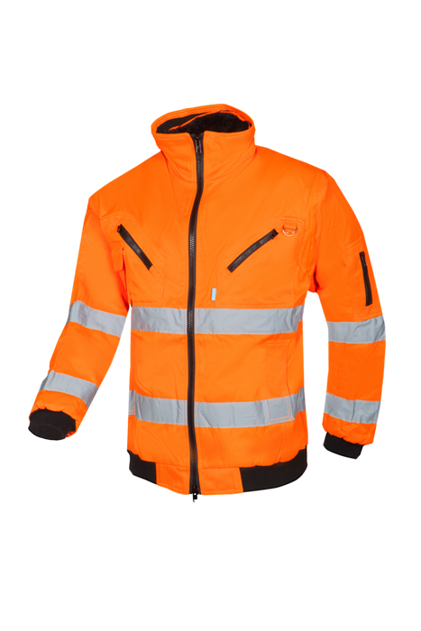 029A Blouson Sparrow